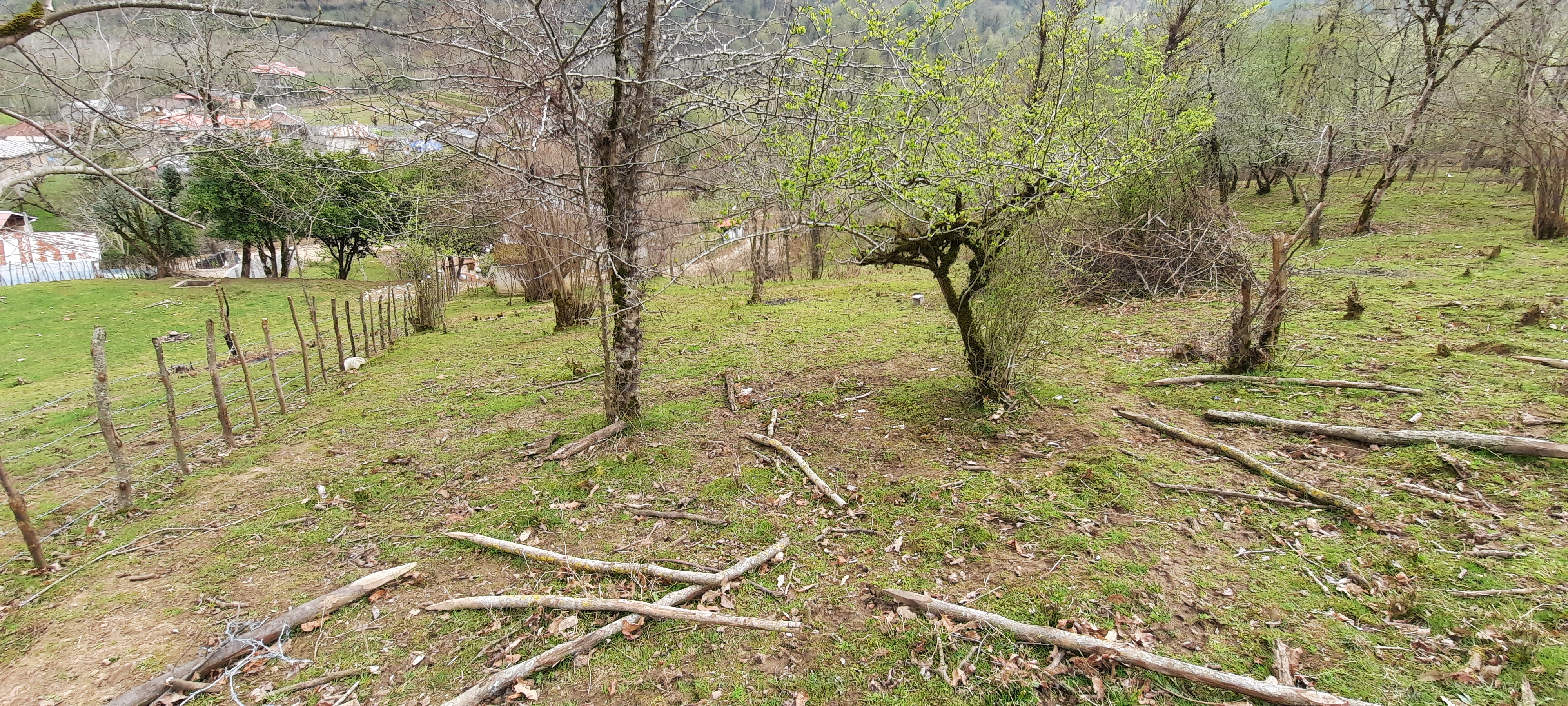 https://khanehaval.com//object/images/99/image_1640154878870.jpg